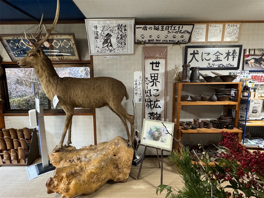 f:id:AKARI_PAPA:20240106194401j:image f:id:AKARI_PAPA:20240106194401j:image