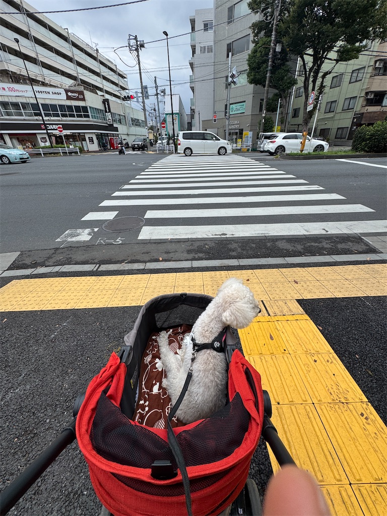 f:id:AKARI_PAPA:20251019192504j:image