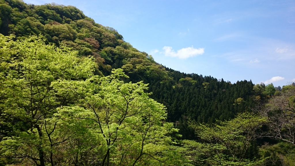 f:id:AKI1200:20170628203924j:plain f:id:AKI1200:20170628203924j:plain
