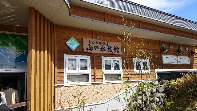 f:id:AKI1200:20180508082541j:image