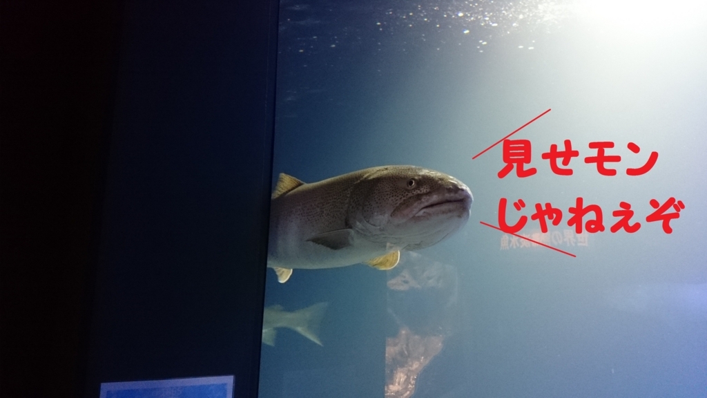 f:id:AKI1200:20180508194047j:plain