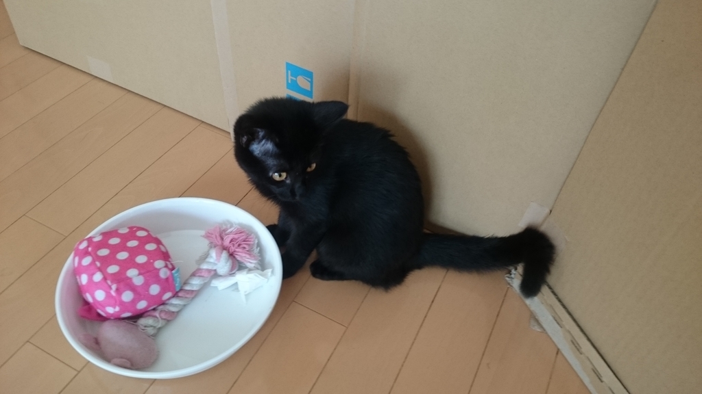 f:id:AKI1200:20180909140158j:plain