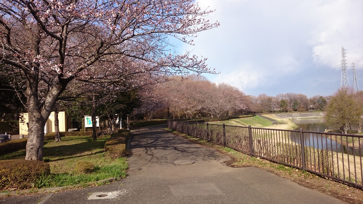 f:id:AKI1200:20190331190256j:plain f:id:AKI1200:20190331190256j:plain