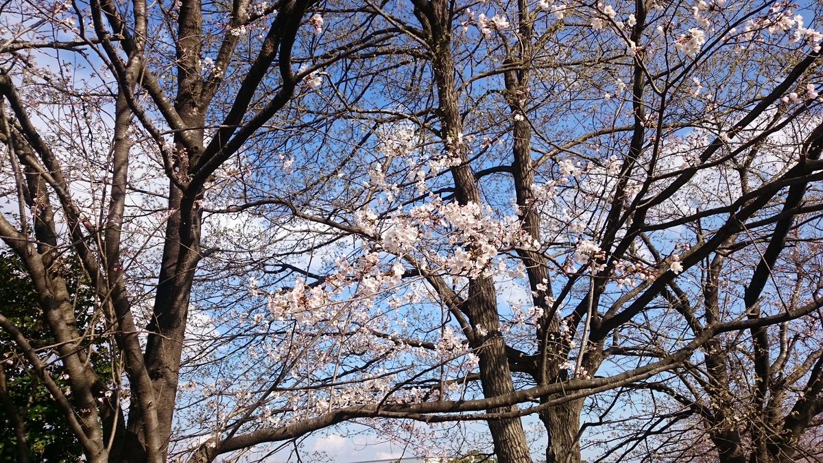 f:id:AKI1200:20190331190919j:plain f:id:AKI1200:20190331190919j:plain
