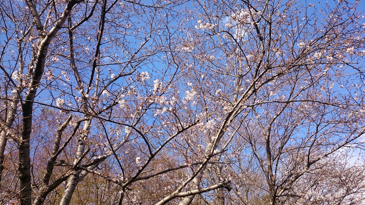 f:id:AKI1200:20190331191052j:plain f:id:AKI1200:20190331191052j:plain