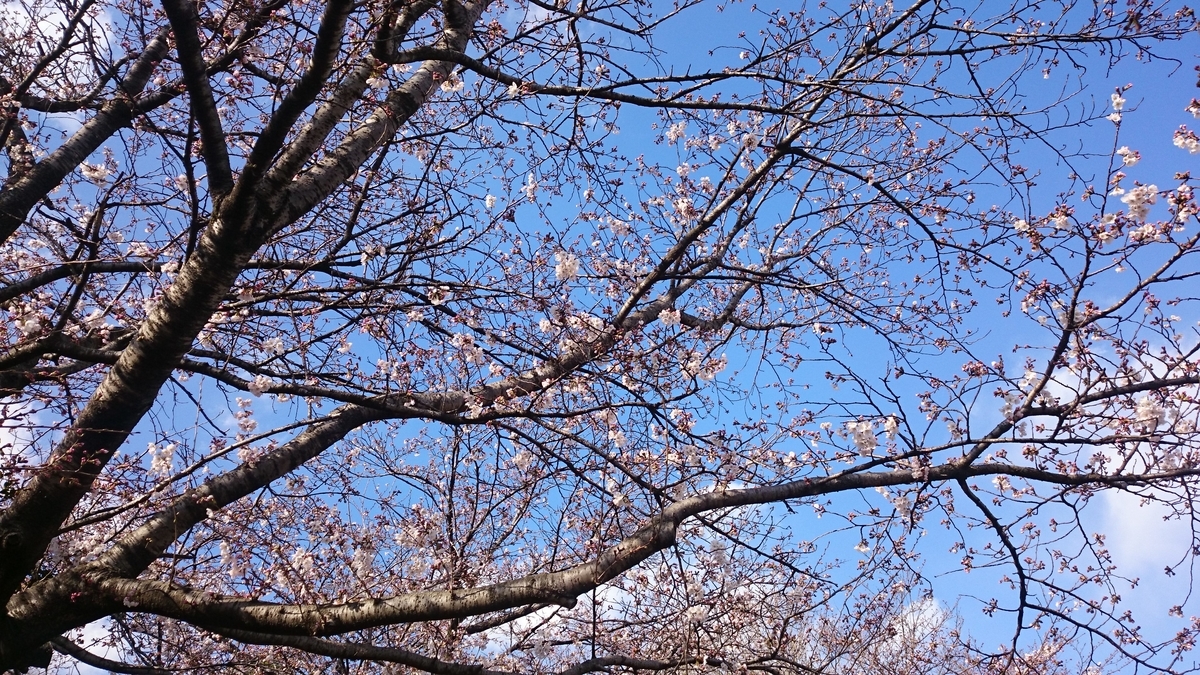 f:id:AKI1200:20190331191715j:plain f:id:AKI1200:20190331191715j:plain