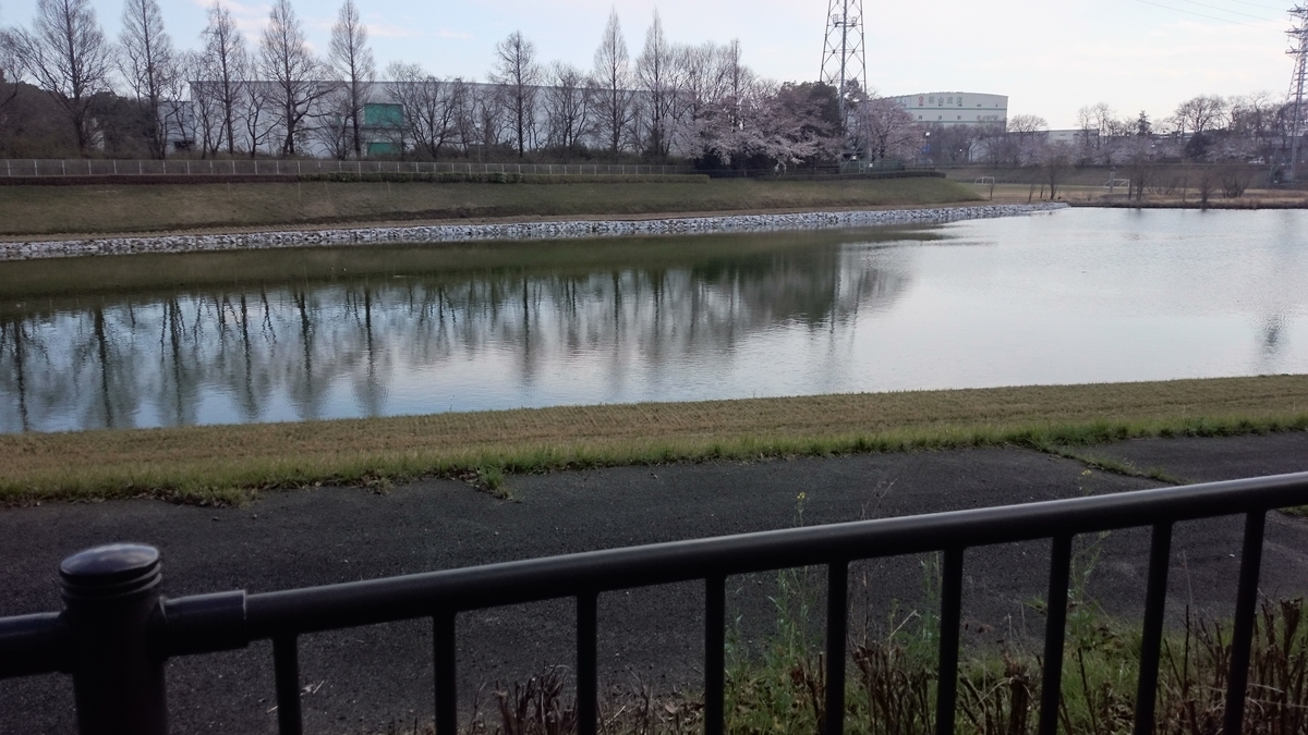 f:id:AKI1200:20190331192845j:plain f:id:AKI1200:20190331192845j:plain