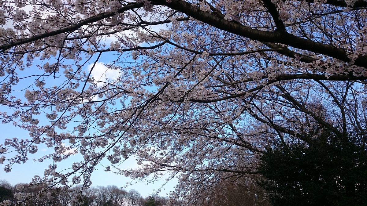 f:id:AKI1200:20190331193810j:plain f:id:AKI1200:20190331193810j:plain
