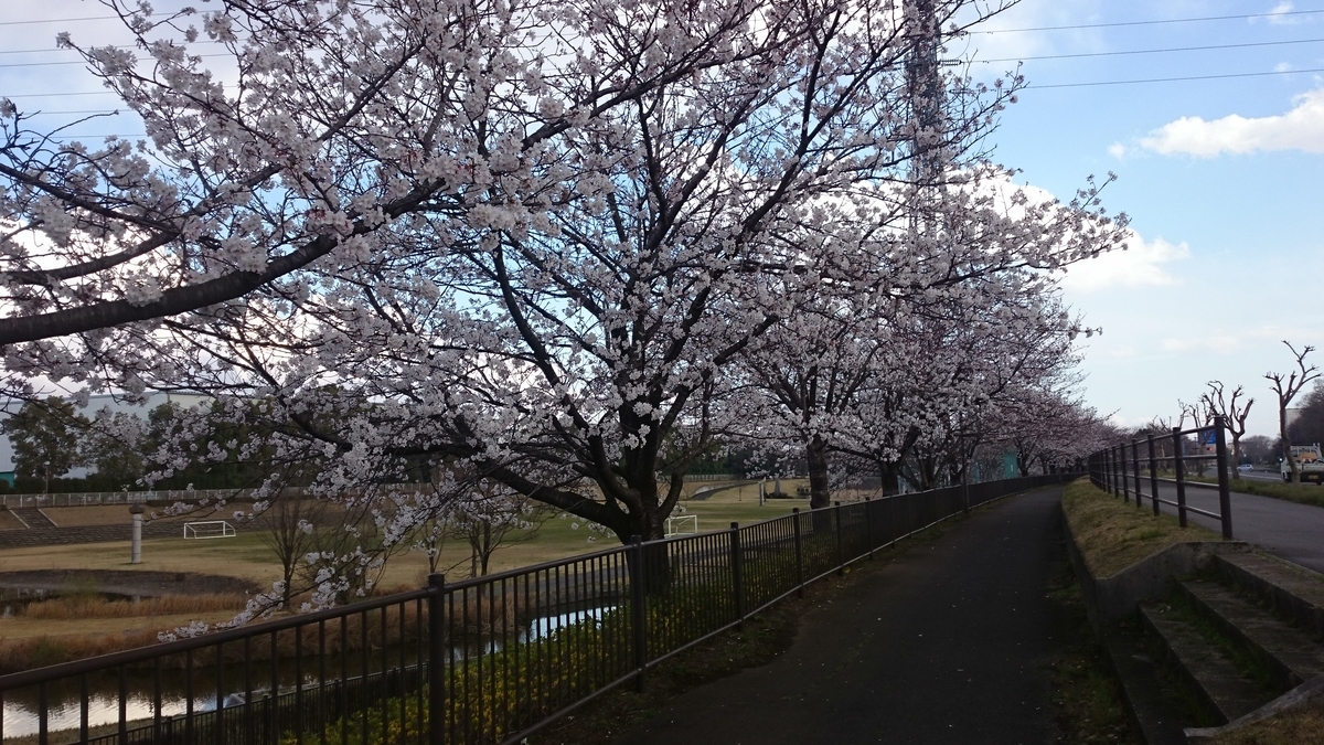 f:id:AKI1200:20190331194457j:plain f:id:AKI1200:20190331194457j:plain