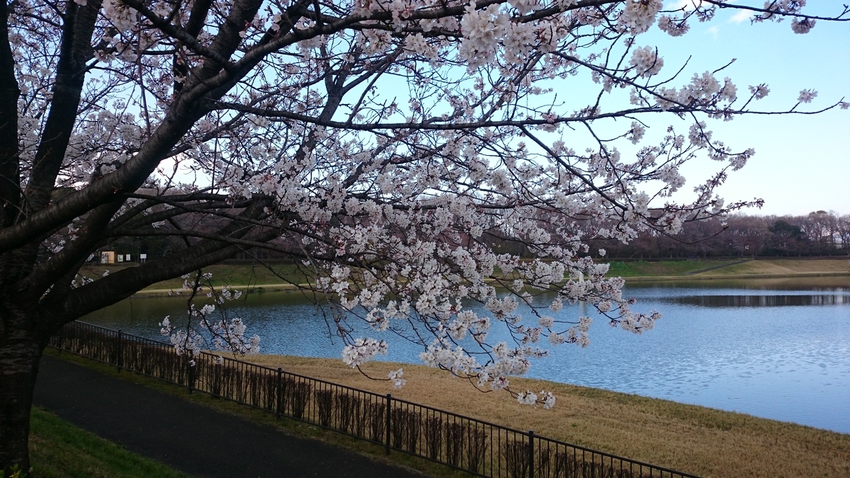 f:id:AKI1200:20190331194954j:plain f:id:AKI1200:20190331194954j:plain