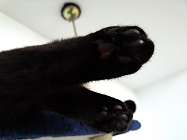 f:id:AKI1200:20191001184912j:image