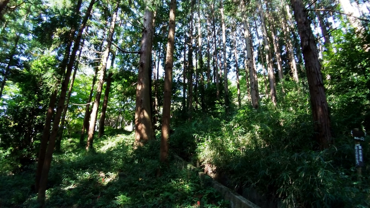 f:id:AKI1200:20191002210447j:plain