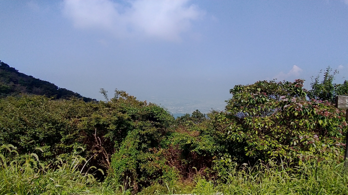 f:id:AKI1200:20191003194645j:plain