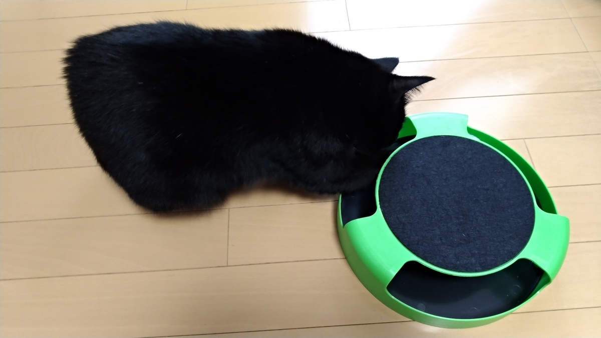 f:id:AKI1200:20191018112334j:plain f:id:AKI1200:20191018112334j:plain