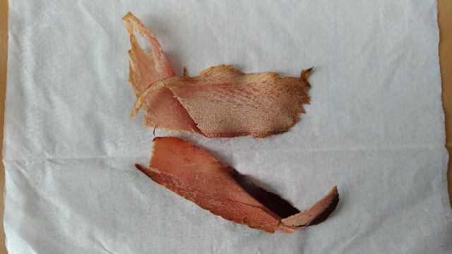 f:id:AKI1200:20191105174604j:image