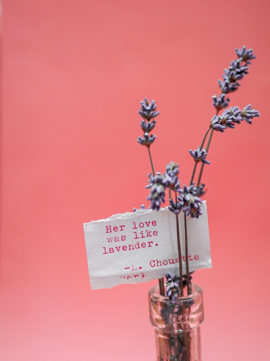 f:id:AKIRAunderthetree:20200509195942j:plain