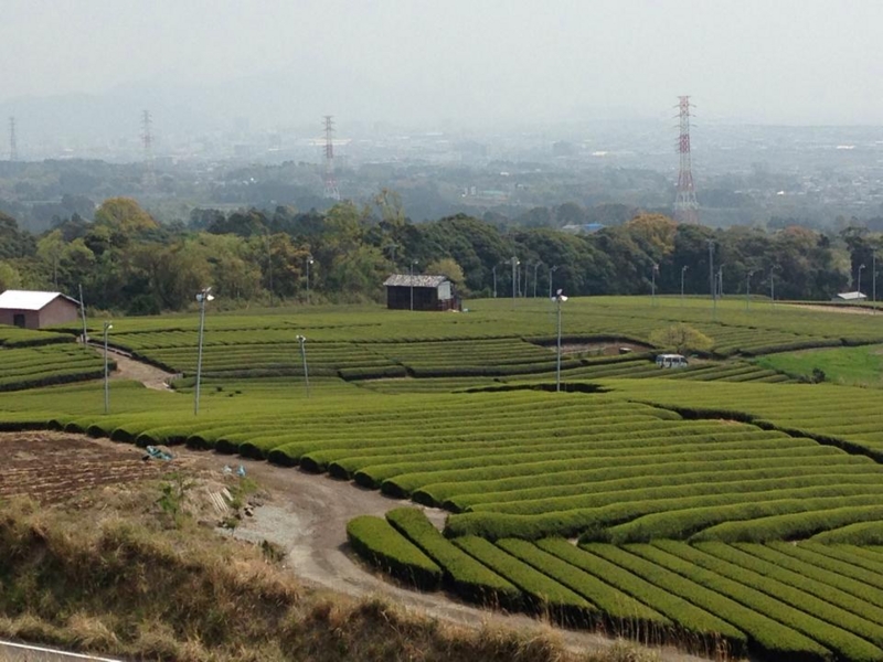 f:id:AKISHOBO_eigyo:20140502221145j:image:w640 f:id:AKISHOBO_eigyo:20140502221145j:image:w640