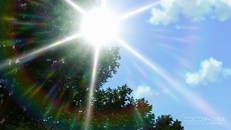 f:id:AKO2019:20190626012824j:plain