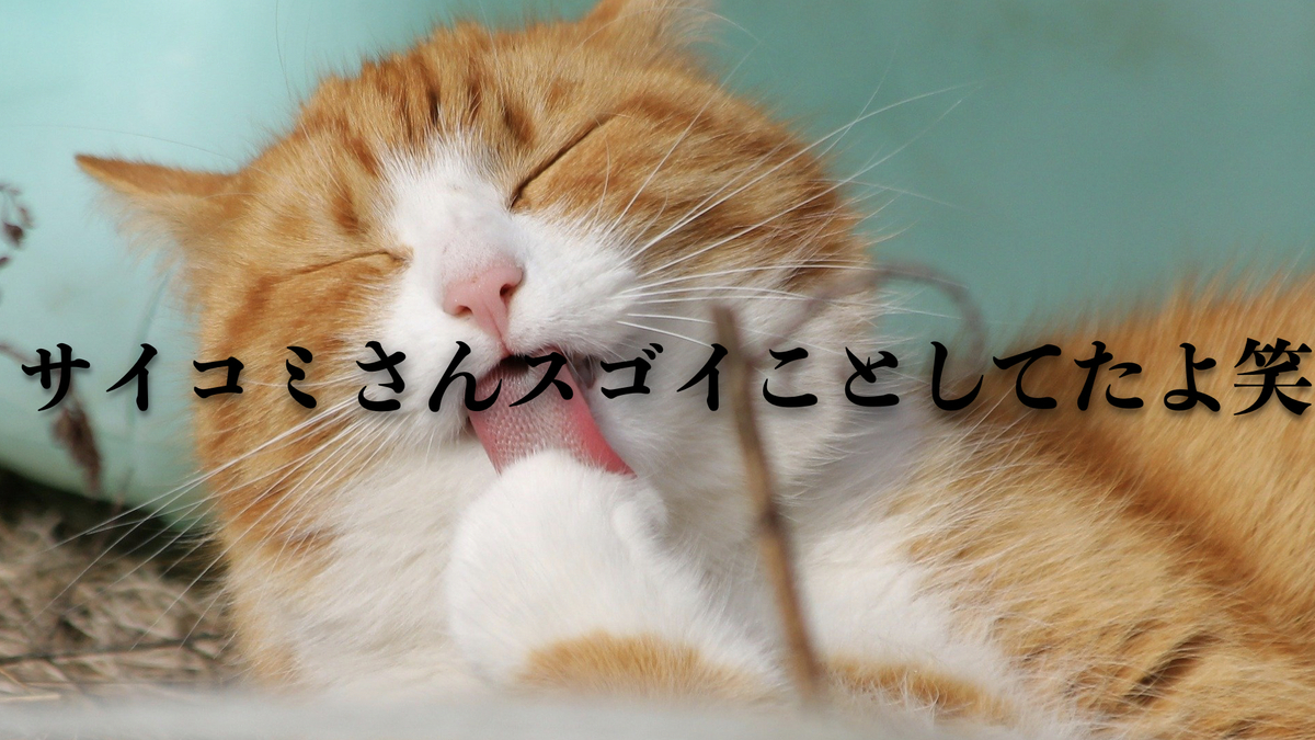 f:id:AK_miso_soup:20220403102752j:plain