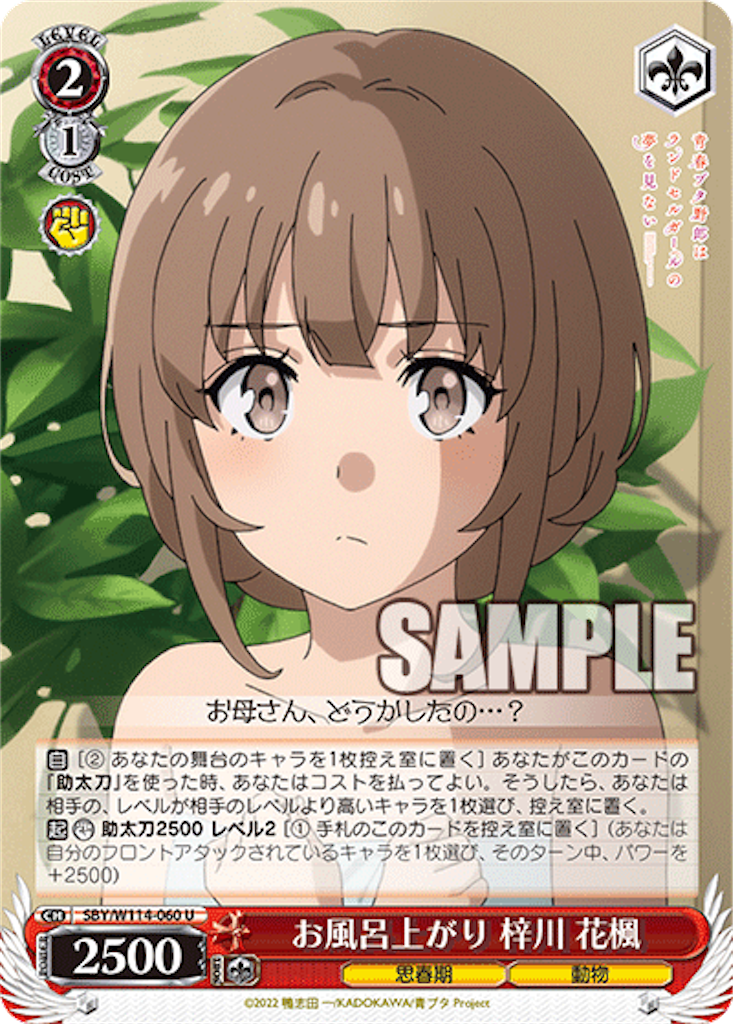 f:id:AKira2019:20240321125042p:image