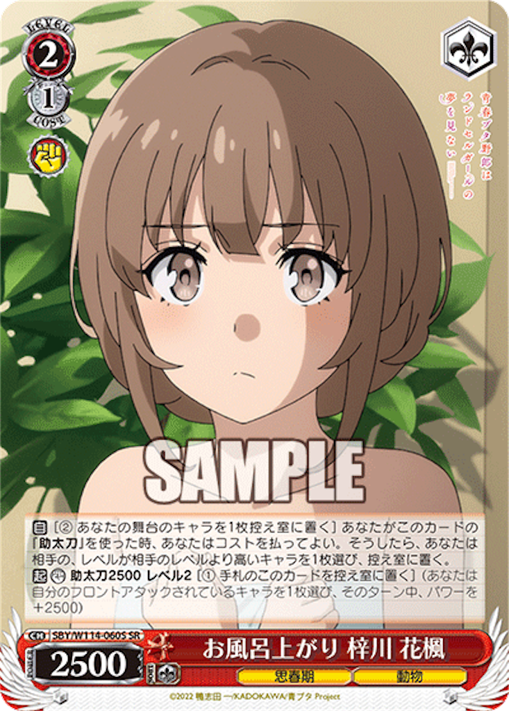 f:id:AKira2019:20240321125052p:image