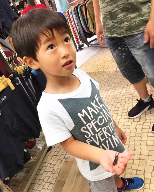 f:id:ALI-KOBE:20200726144215j:plain f:id:ALI-KOBE:20200726144215j:plain