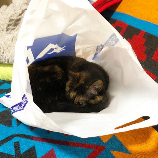 f:id:ALI-KOBE:20201215151755j:plain