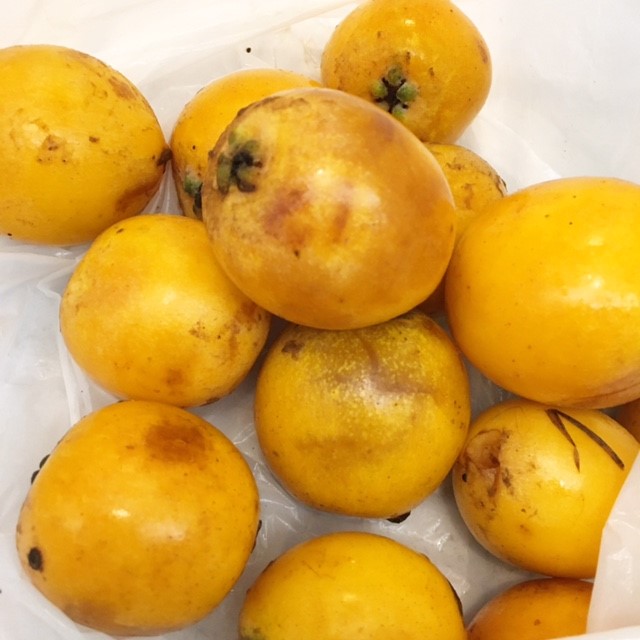f:id:ALI-KOBE:20210628163809j:plain