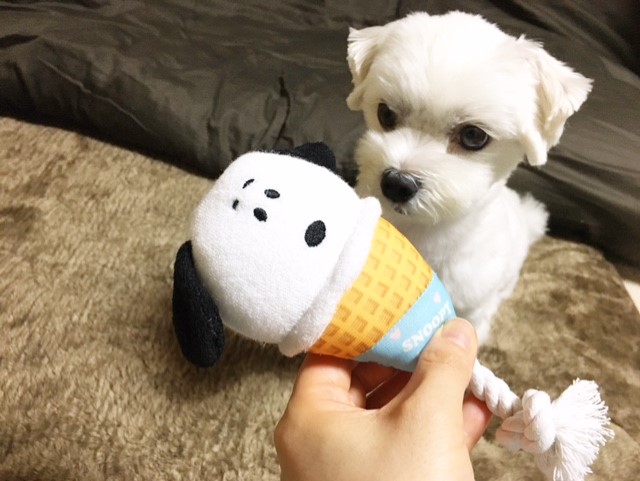 f:id:ALI-KOBE:20210629175354j:plain