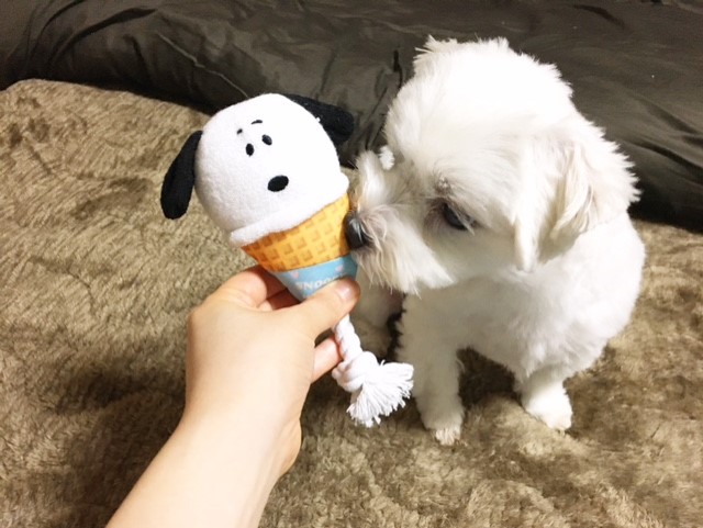 f:id:ALI-KOBE:20210629175412j:plain