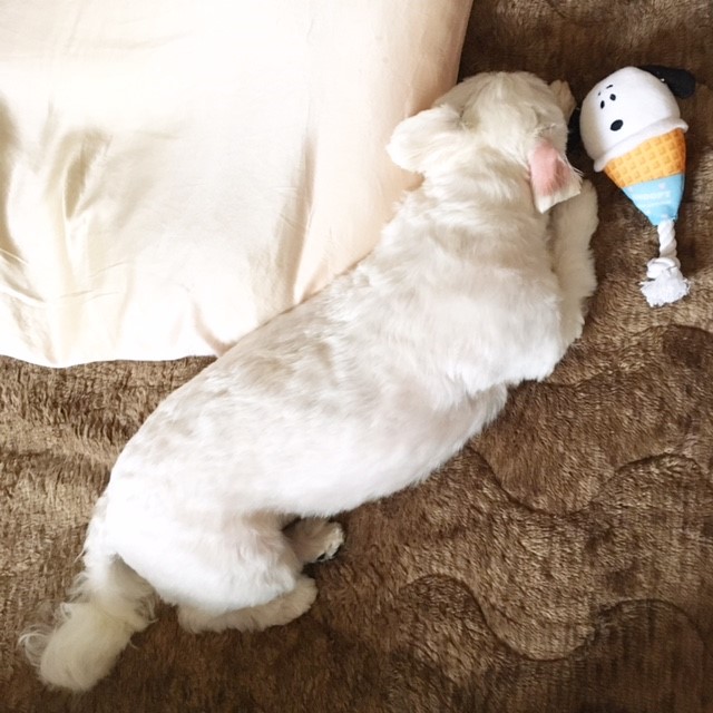 f:id:ALI-KOBE:20210629175505j:plain