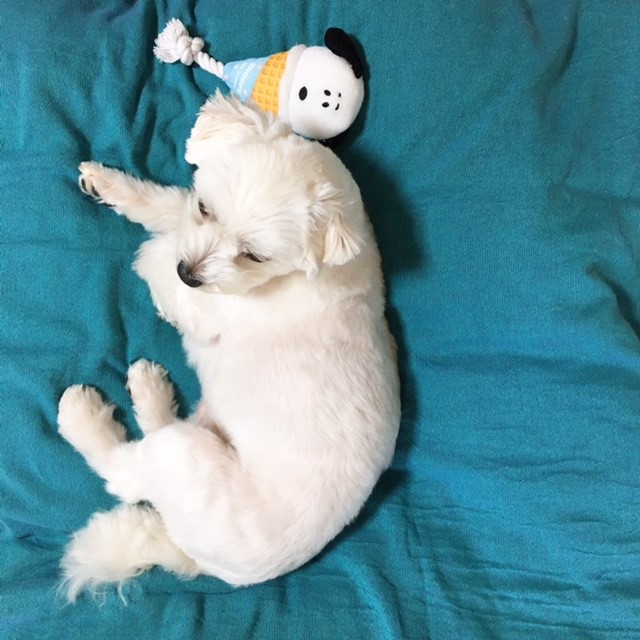 f:id:ALI-KOBE:20210629175613j:plain