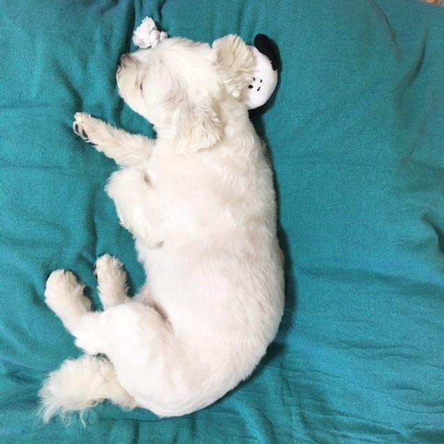 f:id:ALI-KOBE:20210629175652j:plain