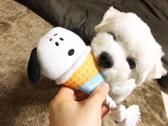 f:id:ALI-KOBE:20210629175722j:plain