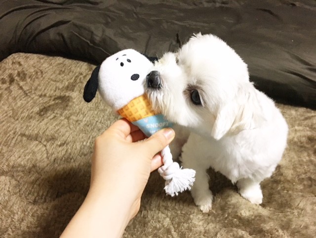 f:id:ALI-KOBE:20210629175808j:plain