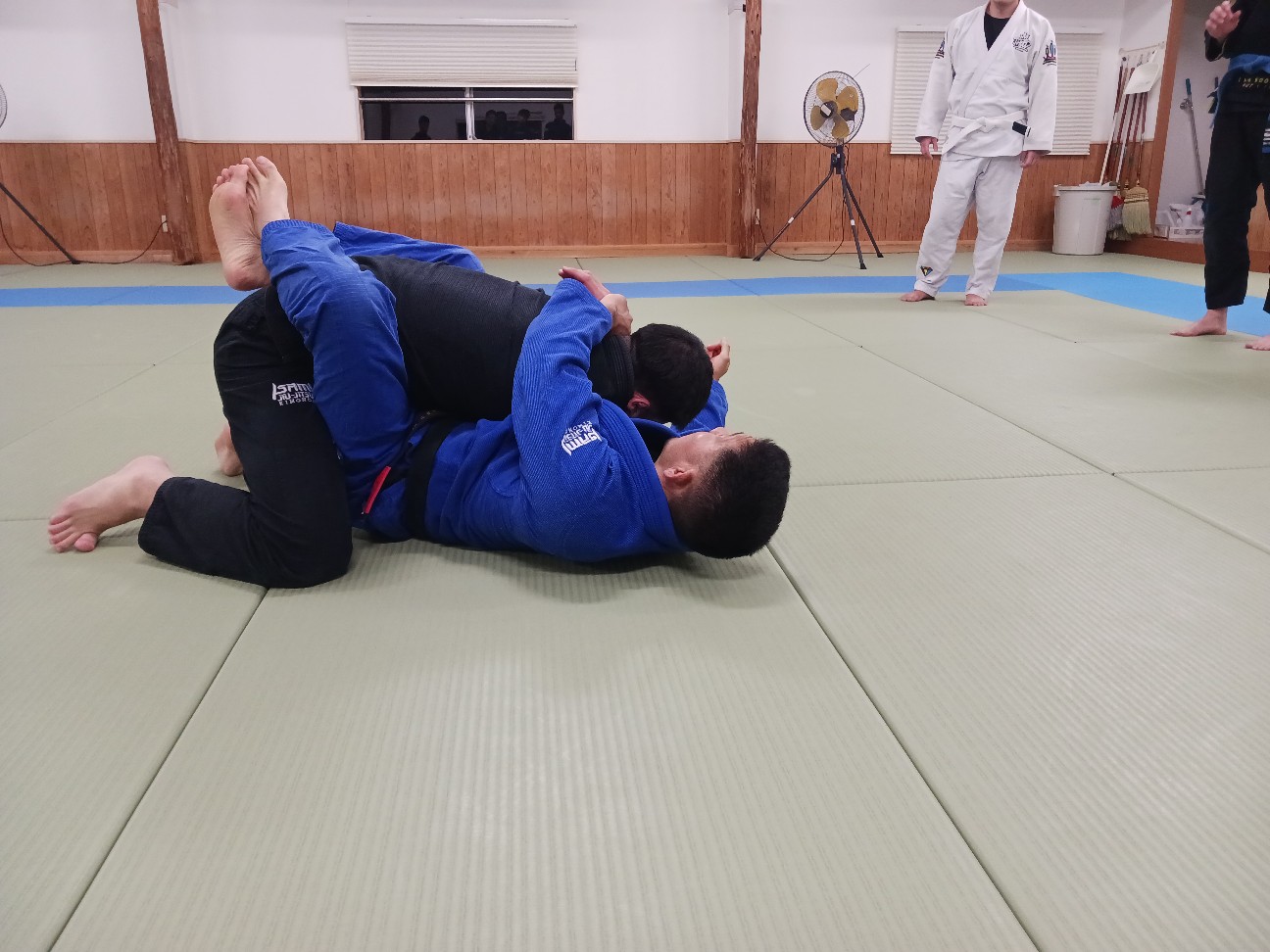 f:id:ALLONEBJJ:20260926222938j:image