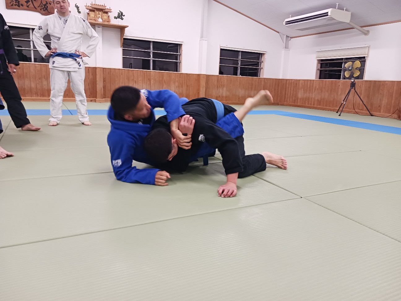 f:id:ALLONEBJJ:20260926223018j:image