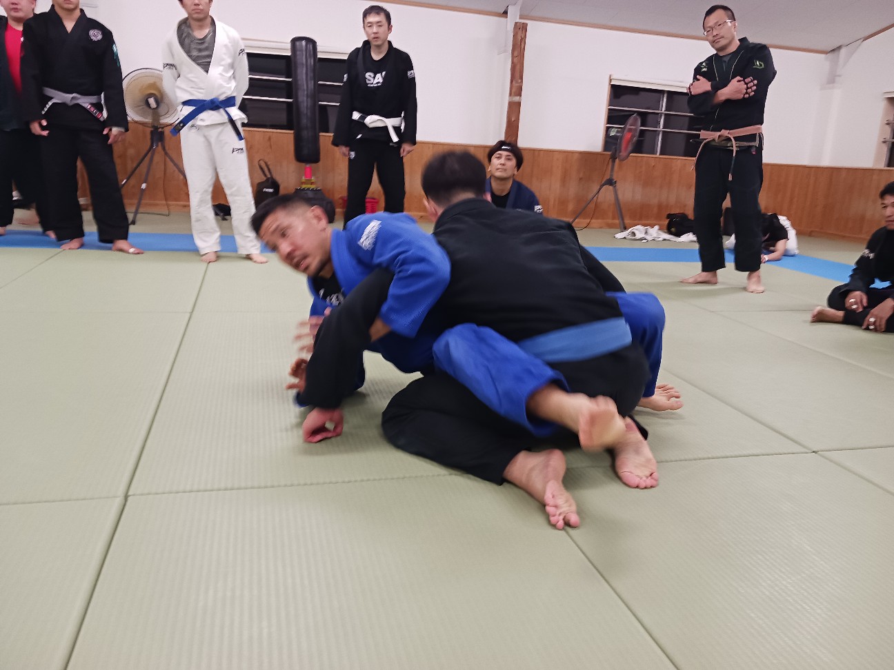 f:id:ALLONEBJJ:20260926223106j:image