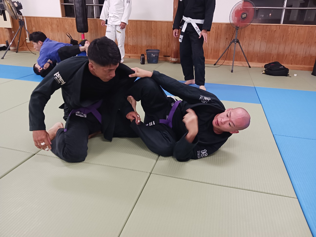 f:id:ALLONEBJJ:20260926223147j:image