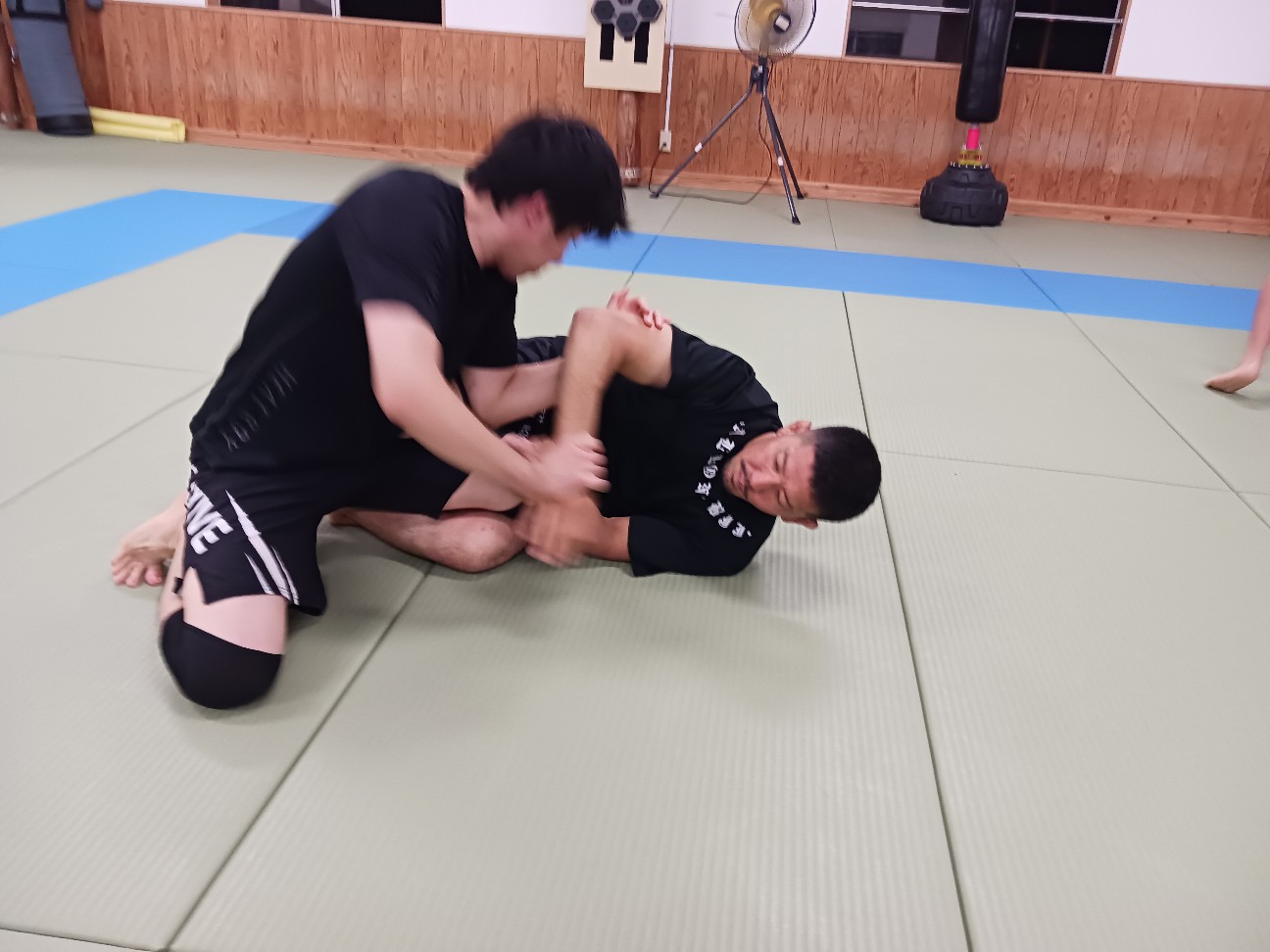 f:id:ALLONEBJJ:20260927012749j:image