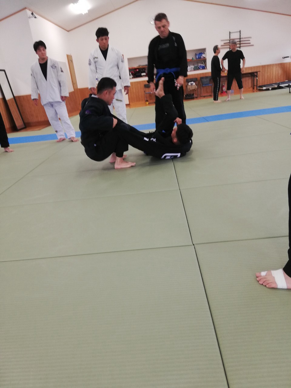 f:id:ALLONEBJJ:20260928232048j:image