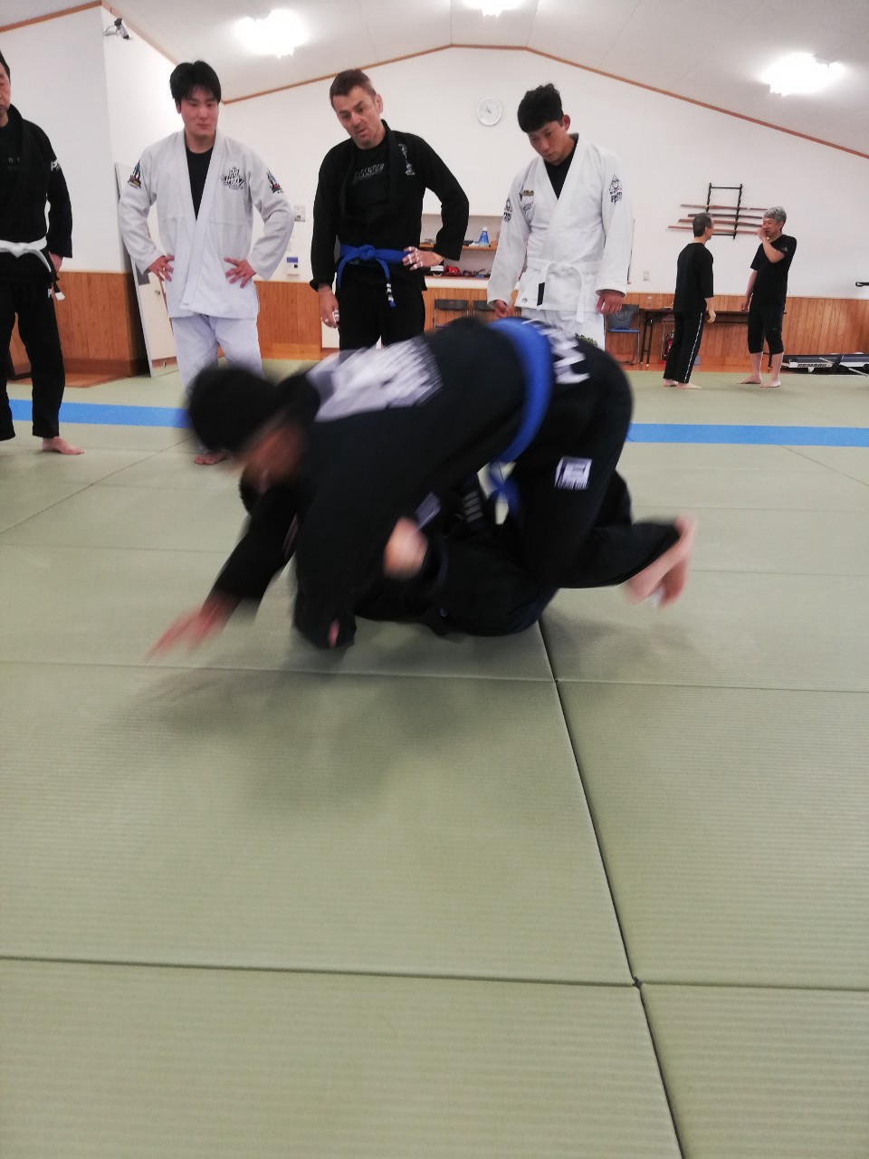 f:id:ALLONEBJJ:20260928232100j:image