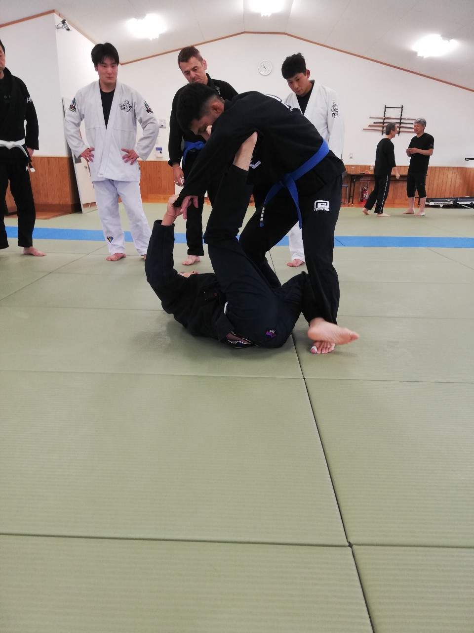 f:id:ALLONEBJJ:20260928232101j:image