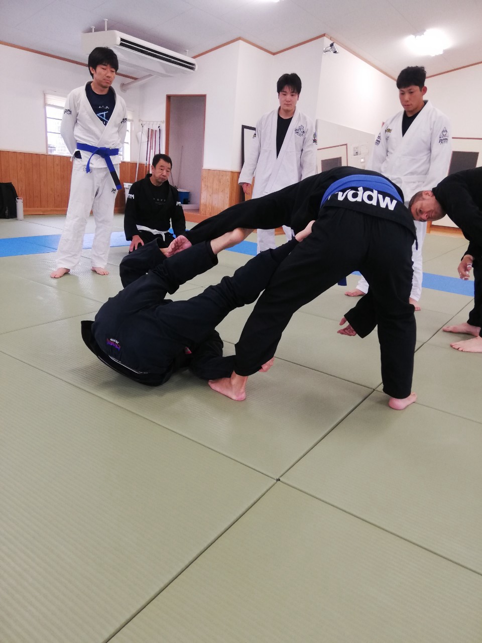 f:id:ALLONEBJJ:20260928232111j:image