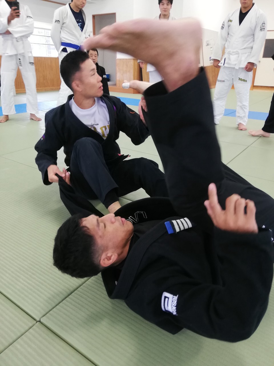 f:id:ALLONEBJJ:20260928232112j:image
