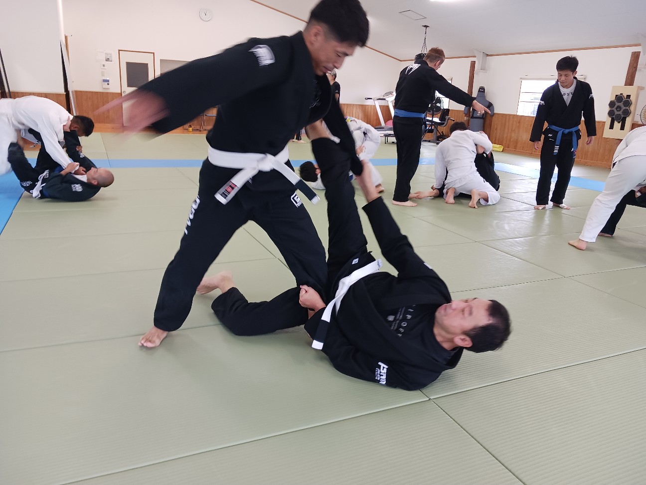 f:id:ALLONEBJJ:20260928232152j:image