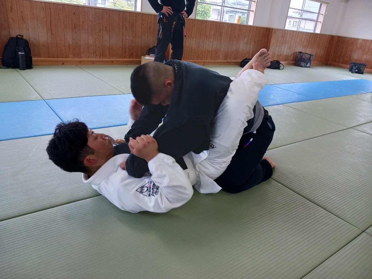 f:id:ALLONEBJJ:20260928232159j:image