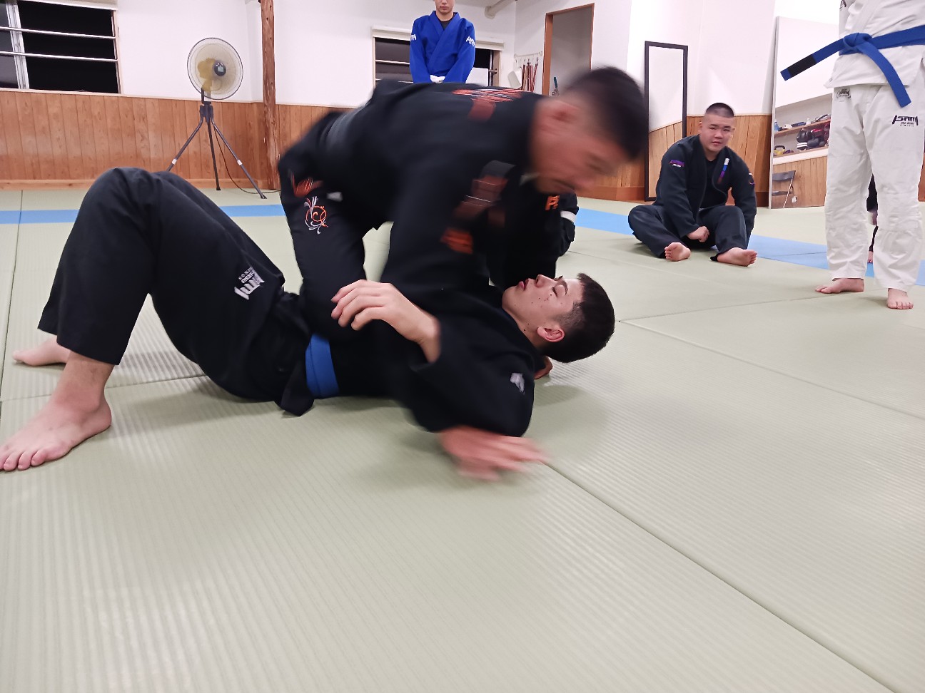 f:id:ALLONEBJJ:20261003225241j:image