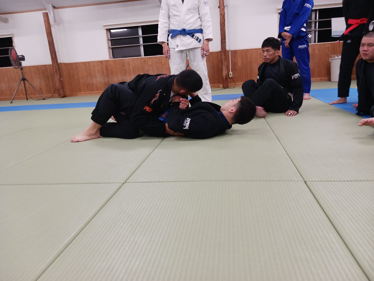 f:id:ALLONEBJJ:20261003225300j:image