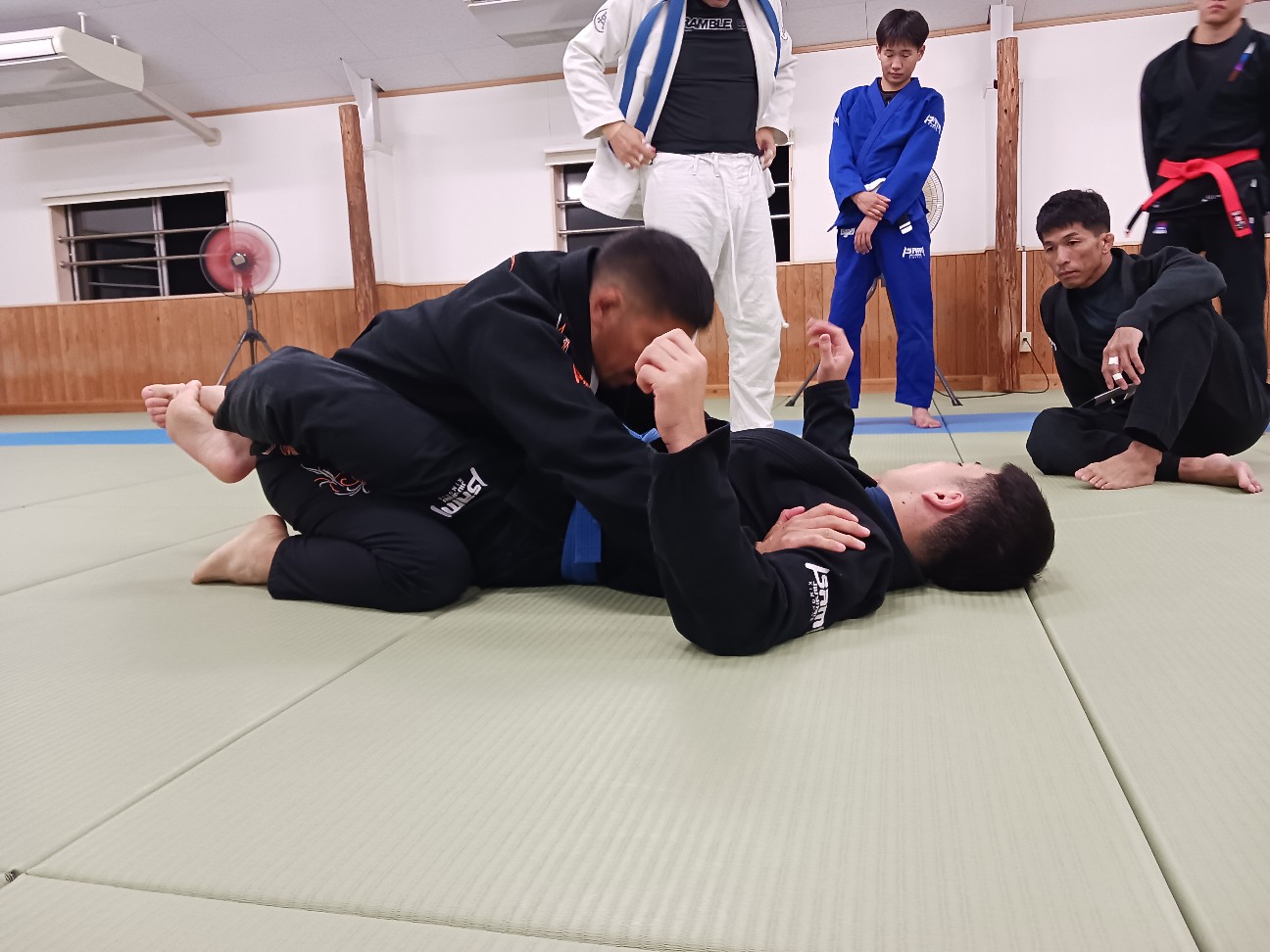 f:id:ALLONEBJJ:20261003225338j:image